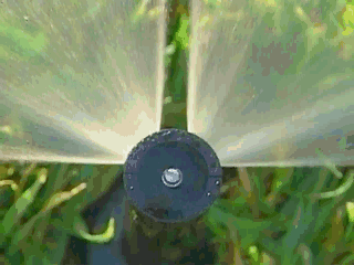 Australian Irrigation Services