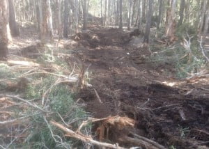 New South Wales Ground Leveling and Land Clearing