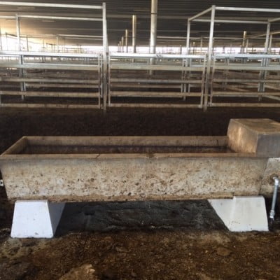 Install New troughs @ CTLX Livestock Exchange Carcoar 