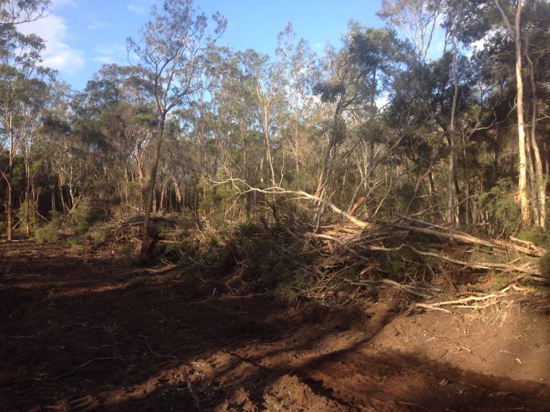 New South Wales Ground Leveling and Land Clearing